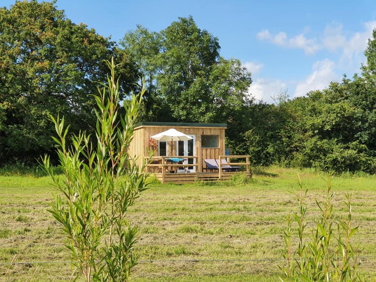 Dartmoor Reach Alpaca Farm Heated Cabins 5 Mins Drive To Dartmoor Bovey Tracey Exterior foto