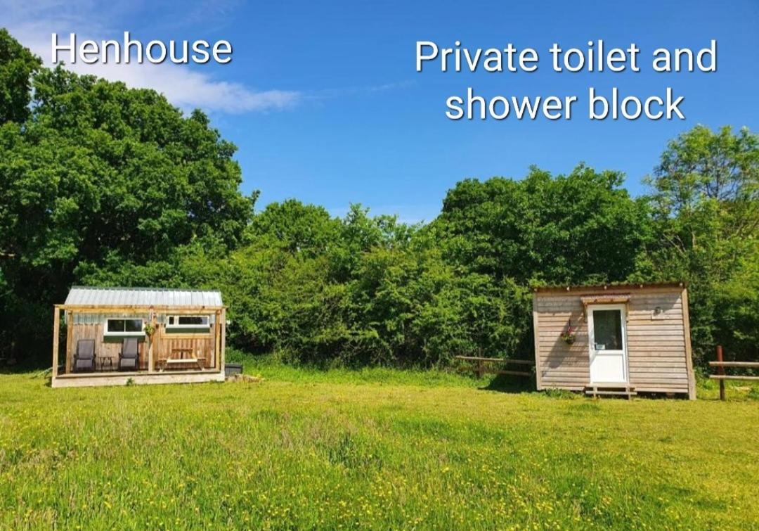 Dartmoor Reach Alpaca Farm Heated Cabins 5 Mins Drive To Dartmoor Bovey Tracey Cameră foto